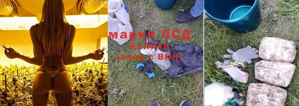 герыч Арсеньев