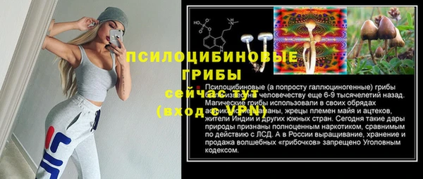 мяу мяу мука Аркадак