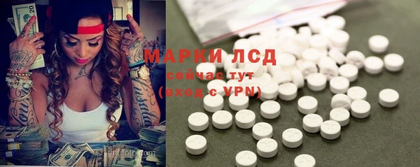 амф Алексин
